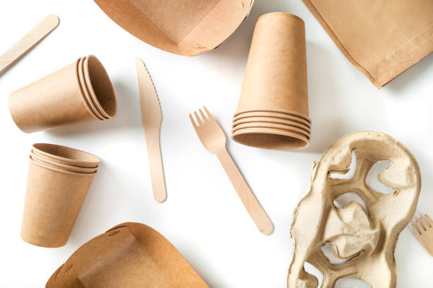 Eco friendly fast food containers