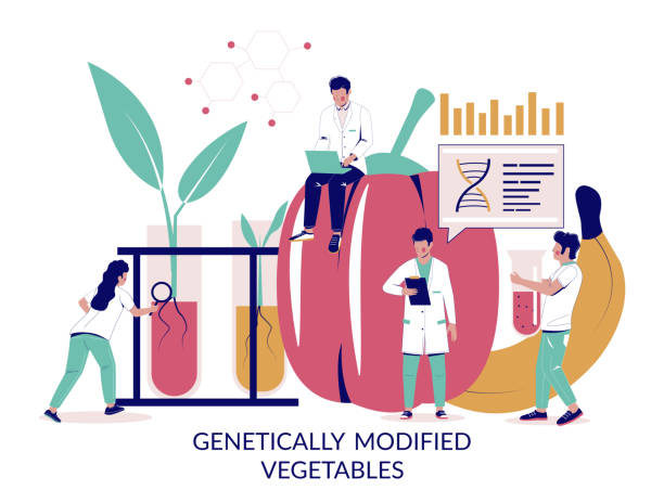 illustrations, cliparts, dessins animés et icônes de légumes génétiquement modifiés, concept vectoriel pour bannière web, page de site web - food laboratory plant biology