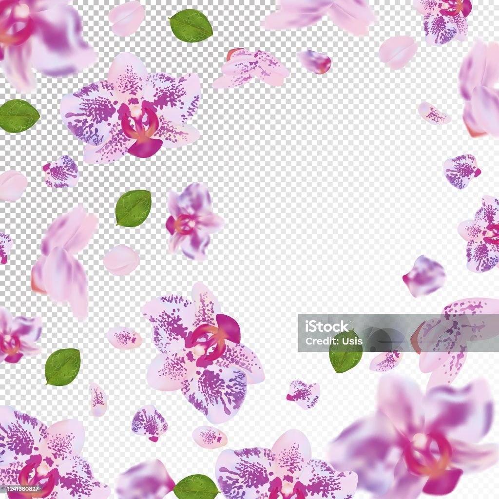 Ilustración de Flor De Orquídea Realista 3d Con Hoja Verde Fondo Floral De Orquídea Delicada Orquídea En Movimiento Flores Que Caen Sobre Fondo Transparente Ilustración Vectorial y más Vectores Libres de Derechos Ilustración de Flor De Orquídea Realista 3d Con Hoja Verde Fondo Floral De Orquídea Delicada Orquídea En Movimiento Flores Que Caen Sobre Fondo Transparente Ilustración Vectorial y más Vectores Libres de Derechos