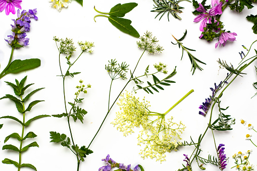 Spring flowers arrangement on white background flat lay top view