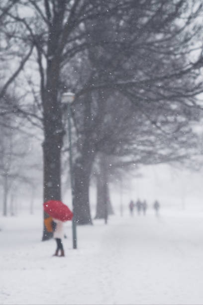istock Red umbrella in the snow. 1241402721