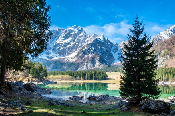 istock Spring morning at the alpine lake 1241404928