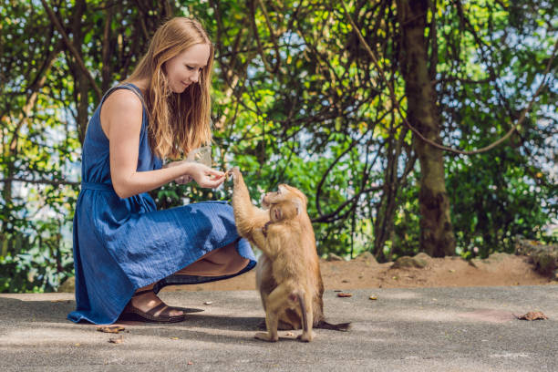 istock Woman feeds the monkey whith nuts 1241458313