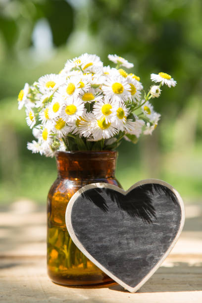 istock Heart shaped sign with space for greeting text, natural outdoors background 1241464218