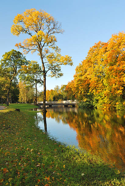 istock Autumn in the park 124146516