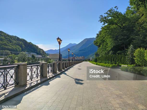 Walking Promenade With Paving Slabs And Ornamental Trees Stock Photo - Download Image Now