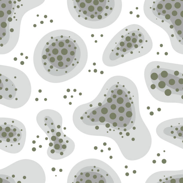 ilustrações de stock, clip art, desenhos animados e ícones de mold spots on a white background. vector seamless pattern. humidity in the bathroom. toxicity of mold spores, health hazard. means of combating dangerous fungi and bacteria. flat illustration. - spore