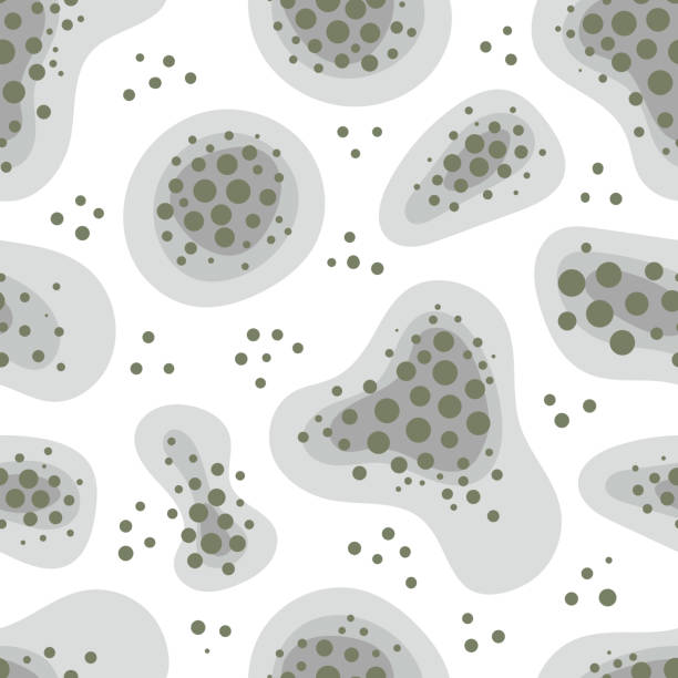 Mold spots on a white background. Vector seamless pattern. Humidity in the bathroom. Toxicity of mold spores, health hazard. Means of combating dangerous fungi and bacteria. Flat illustration. Mold spots on a white background. Vector seamless pattern. Humidity in the bathroom. Toxicity of mold spores, health hazard. Means of combating dangerous fungi and bacteria. Flat illustration. fungus stock illustrations