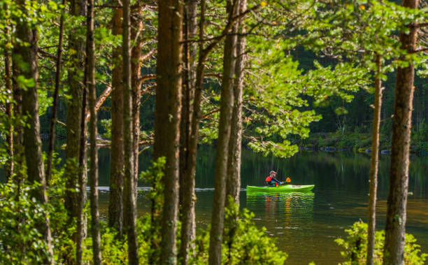 istock Recreational River Kayaking in Summer Time 1241500614