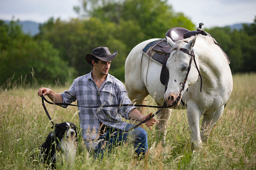 Young Adult Cowboy With His Horse and Dog on Meadow.