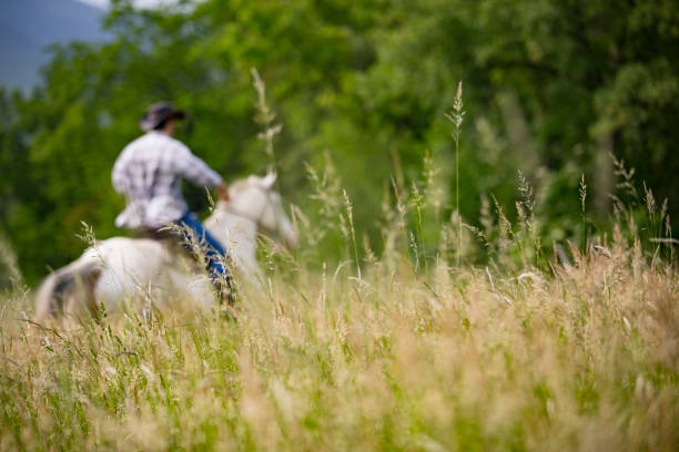 unkenntlich cowboy reiten ein weißes pferd auf einer wiese - cowboy cowboy hat hat summer stock-fotos und bilder