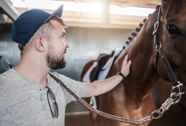 istock Caucasian Horse Passionate and His Animal 1241505201