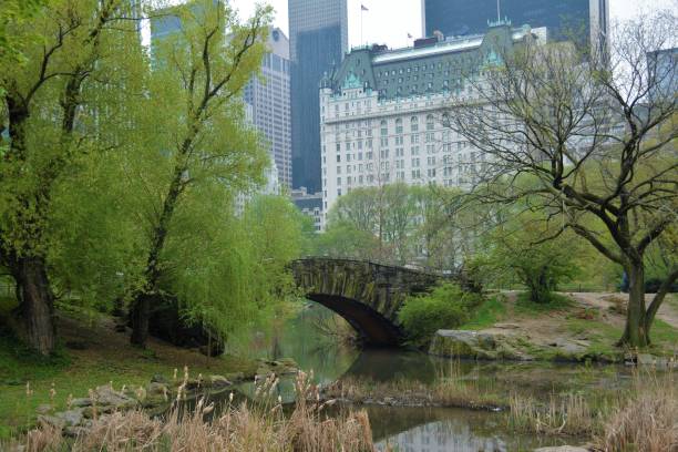 istock Central Park bridge in summer time 1241507884