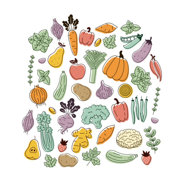 ilustraciones, imágenes clip art, dibujos animados e iconos de stock de varias colecciones de verduras. gráfico lineal. estilo minimalista escandinavo. diseño de alimentos saludables. - fruta ilustraciones