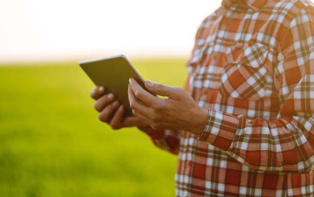 istock Tablet in the hands of a farmer. Smart farm. 1241521219