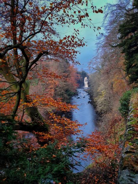 istock High Force waterfall framed by autumn leaves 1241528260