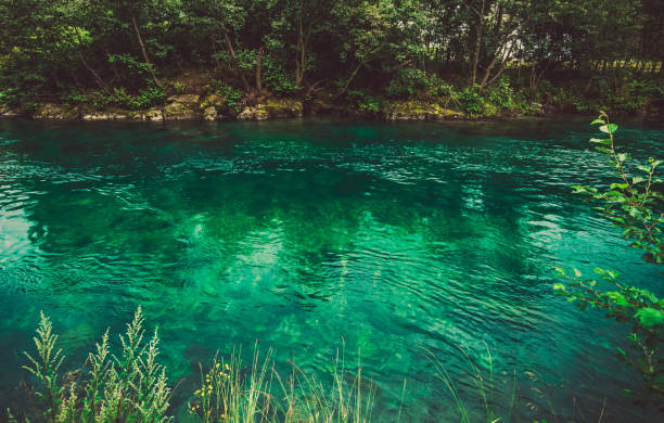 Pristine Crystal Clear Waters Of Norwegian River With Surrounding Trees And Vegetation.