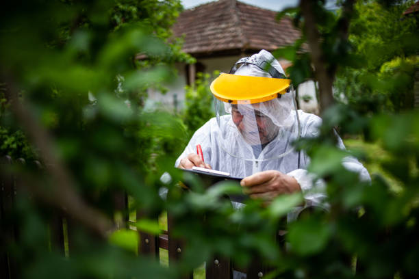 istock The farmer controls the yield of fruit and writes data useful for further maintenance work 1241536956