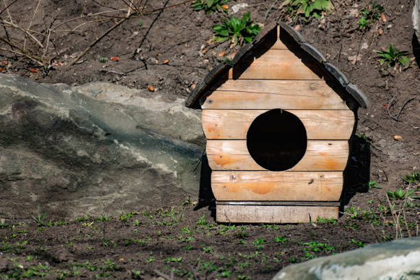 gebaut aus holz und holzplanken zwinger für hunde oder ein haus für das tier. - animal captivity building stock-fotos und bilder