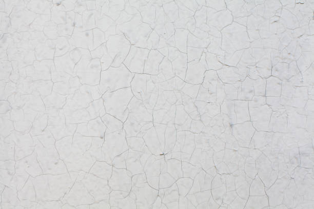 istock Gray weathered wall texture. Old Background with crack 1241560542