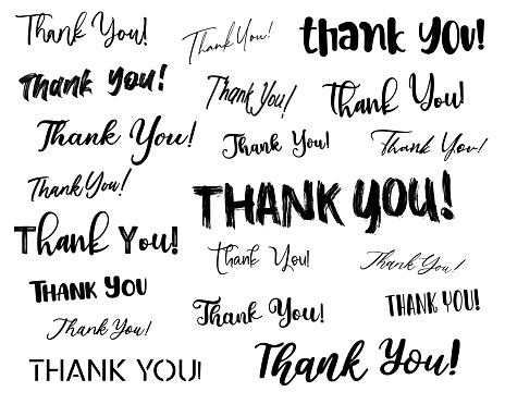 Thank you lettering typography vector. Isolated on white background.