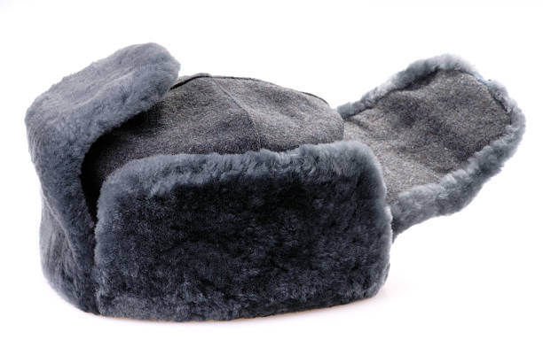istock Russian fur hat with ear-flaps isolated 124156158