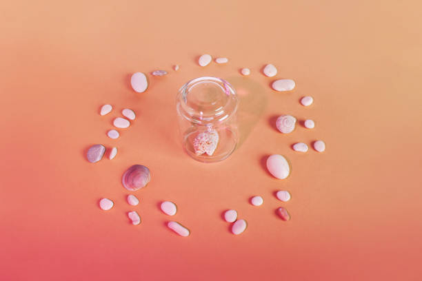 istock Quarantine summer vacation concept. Shell under a glass cap on a pink background. 1241582762
