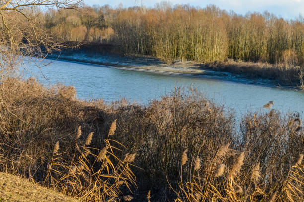 o rio po no outono em direção à sua foz delta na província de rovigo, itália - rovigo - fotografias e filmes do acervo