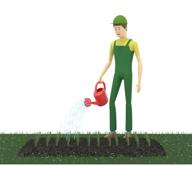 istock Farmer is watering young seedlings with a watering can. 3D illustration 1241613453