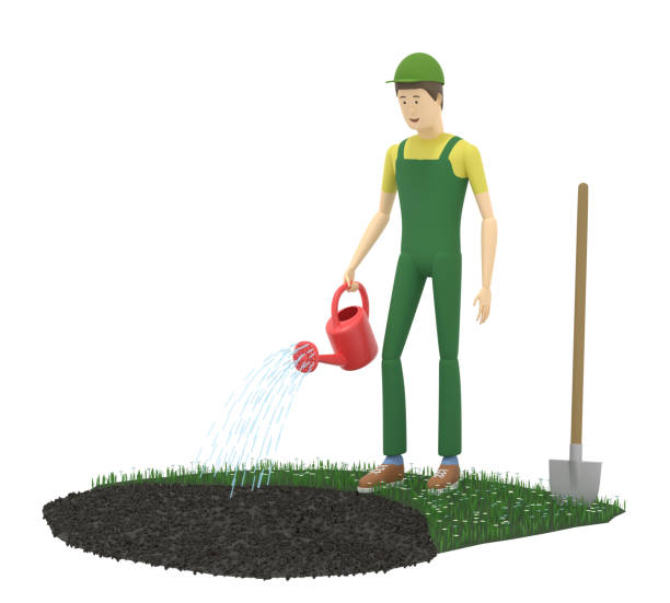 istock Gardener is watering planted seeds with a watering can. 3D illustration 1241614713