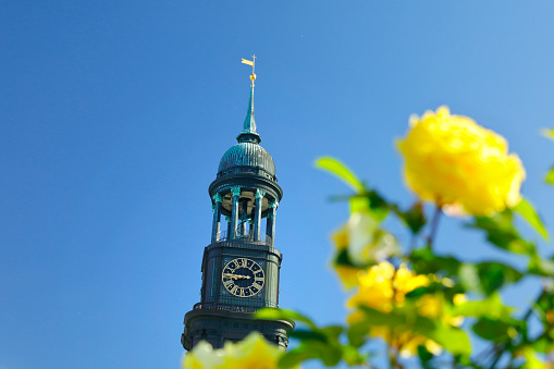 Yellow flowering begonias in front of the bell tower of St. Michaelis