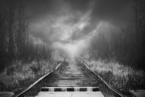 old rails in soft autumnal morning sun