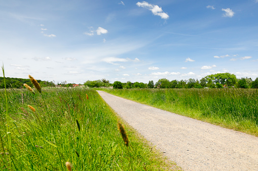 Country road through a green landscape with meadows and forests