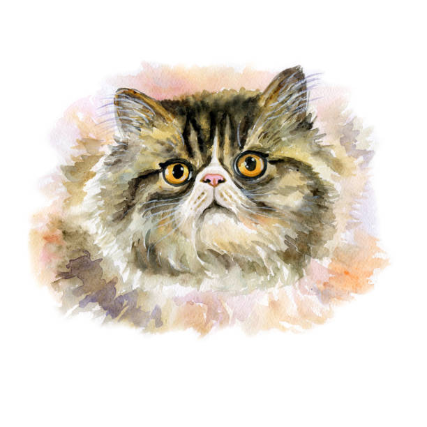 istock Persian breed cat isolated on white background. Blurred technique. Turtle colorpoint. Hand drawn home pet. Greeting birthday card design. Clip art watercolor close up portrait of cute longhair. 1241642969