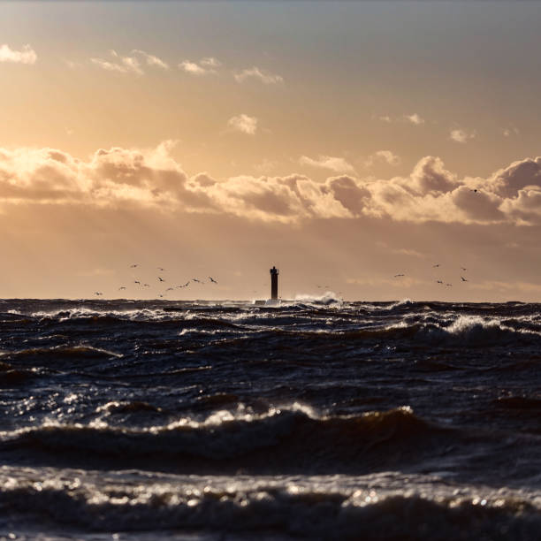 istock Seaside sunset view with clouds, flying seagulls in cloudy overcast evening. 1241650811