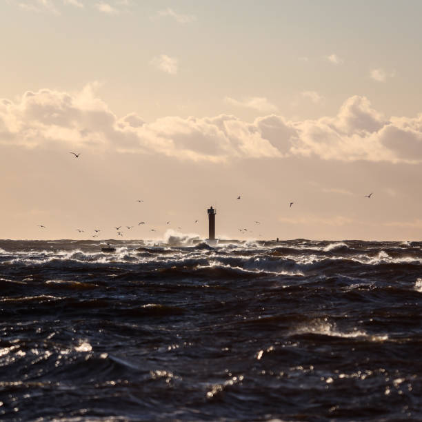 istock Seaside sunset view with clouds, flying seagulls in cloudy overcast evening. 1241651362