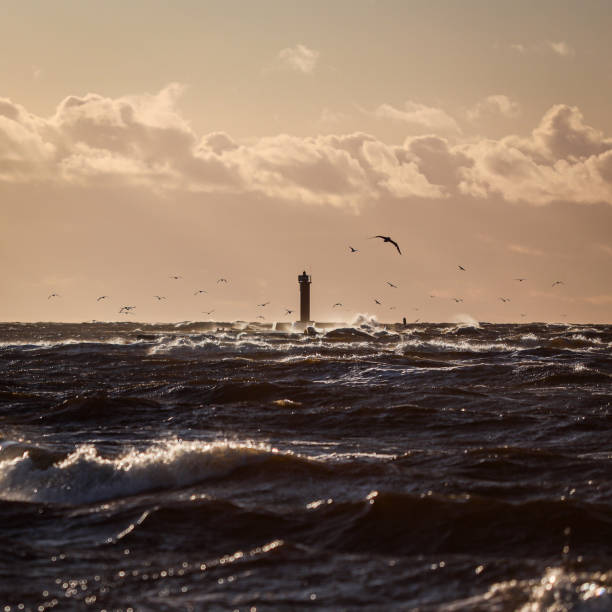 istock Seaside sunset view with clouds, flying seagulls in cloudy overcast evening. 1241652009