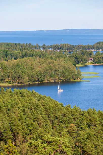 istock Sailboat on the water in a forest lake 1241654851