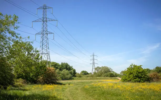 Pylons carrying power cables passes near a field of buttercups and a footpath meanders past them.  A blue sky is above.