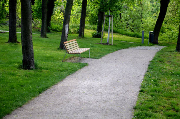 park, tree, path, nature, road, green, trees, landscape, summer, grass, forest, alley, way, garden, spring, footpath, bench, foliage, outdoor, avenue, lane, leaf, walking, walk, autumn, wood, wooden, public, gravel, lawn, rest, zone, backrest, side, view, bright, threshing, sand