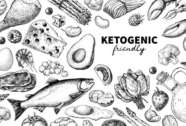 Keto diet vector drawing. Ketogenic hand drawn template. Vintage engraved sketch Keto diet vector drawing. Ketogenic hand drawn template. Vintage engraved sketch. Organic food - seafood, vegetables, eggs, meat, nuts. Healthy eating concept, paleo products, label, banner packaging ingredient illustration stock illustrations