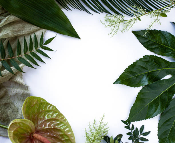istock Green tropical leaves branches on white background flat lay. 1241685045