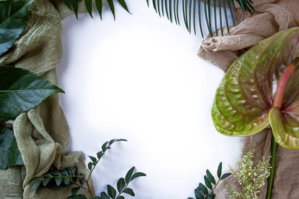 istock Green tropical leaves frame on white background flat lay. 1241685052