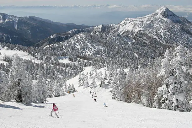 Photo of winter ski resort