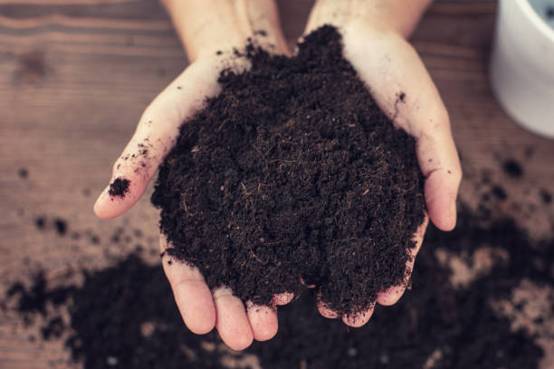 istock Hands holding and caring flower soil. 1241695232