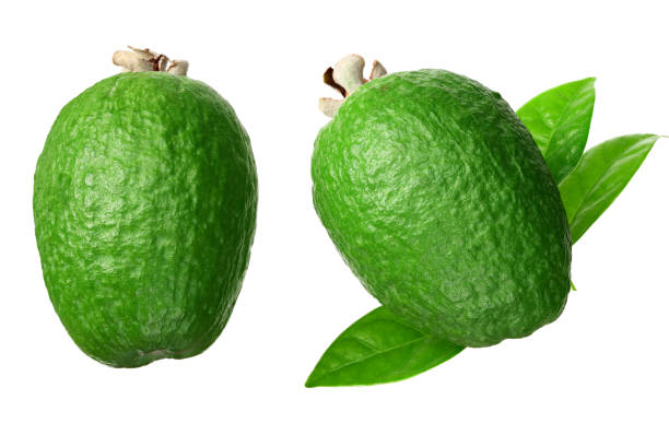 feijoa de fruta tropical aislada sobre fondo blanco. acca sellowiana - feijoas ripe fruit iodine fotografías e imágenes de stock