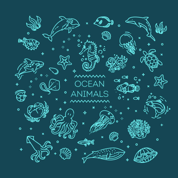 ภาพประกอบสต็อกที่เกี่ยวกับ “ชุดของทะเลหรือมหาสมุทรไอคอนของสัตว์ของ ภาพประกอบเวกเตอร์ - ปลาปักเป้า ปลาเขตร้อน”