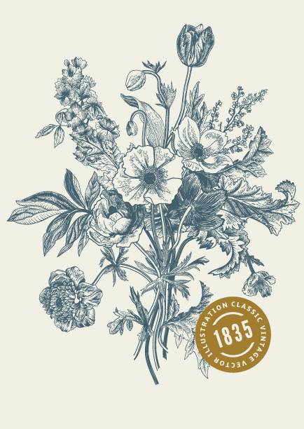 viktorianischen strauß. frühlingsblumen. mohn, anemonen, tulpen, delphinium - delphinie stock-grafiken, -clipart, -cartoons und -symbole