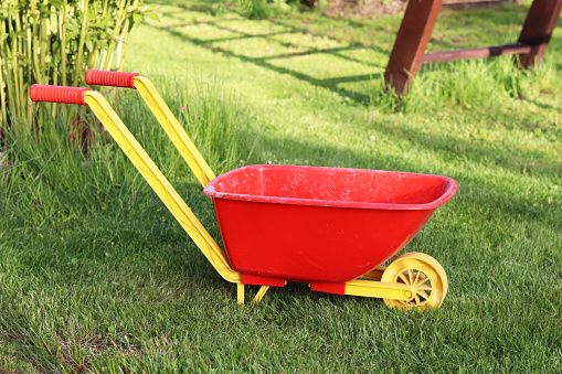 red plastic children's wheelbarrow in the garden on green grass