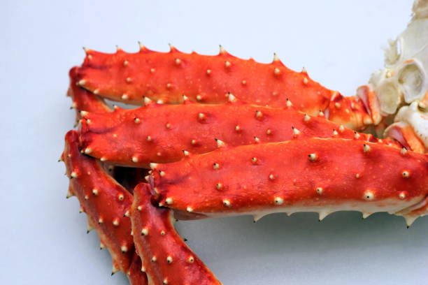istock Kamchatka King crab. Close-up. Crab legs. 1241734613